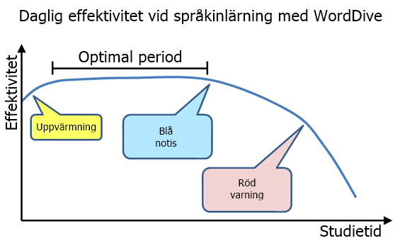 how_much_to_study_daily_swe