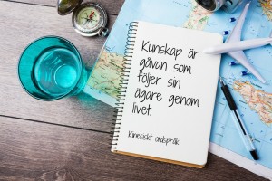 motivation_1_SWE