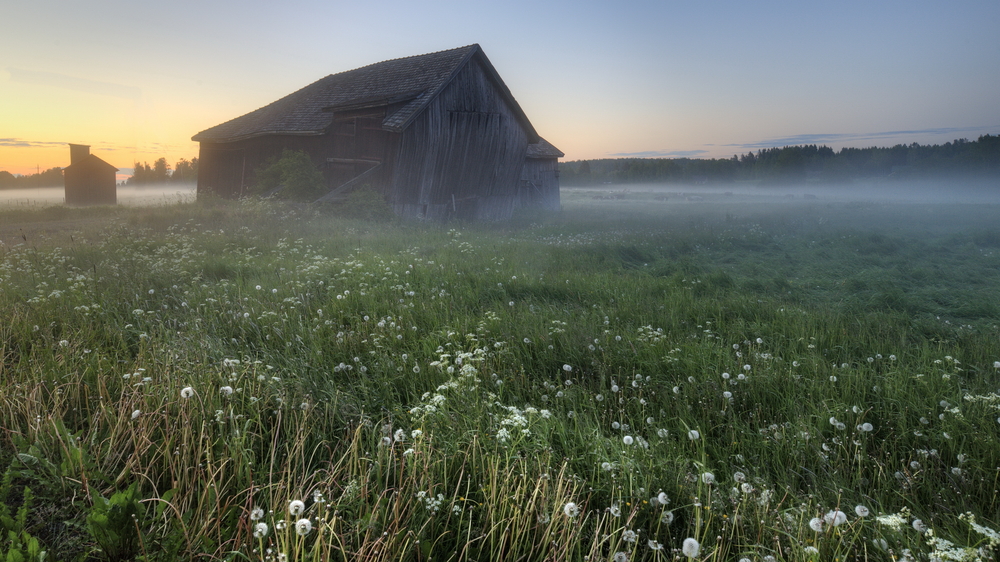 Midsummer